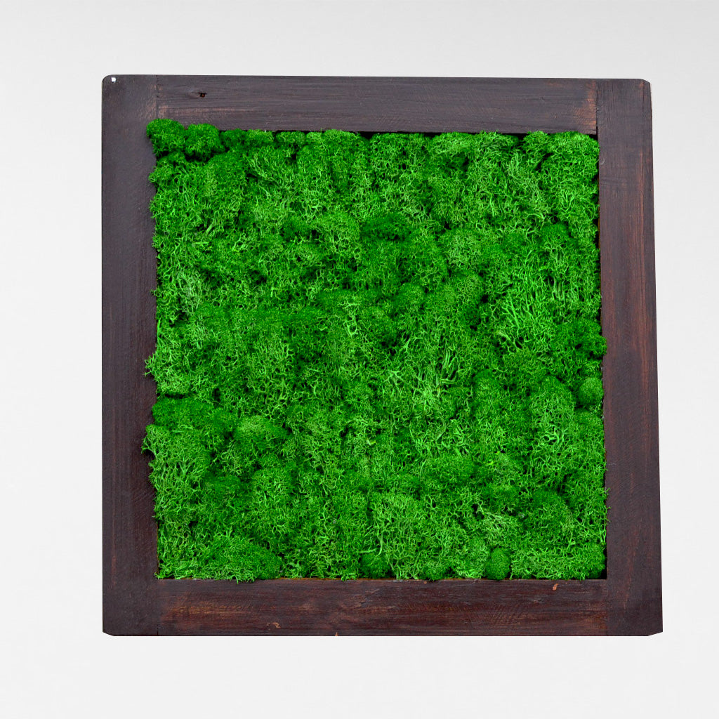 Dark Green Preserved Moss Frame with Dark Wood - myBageecha