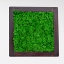 Dark Green Moss Frame with Dark Wood