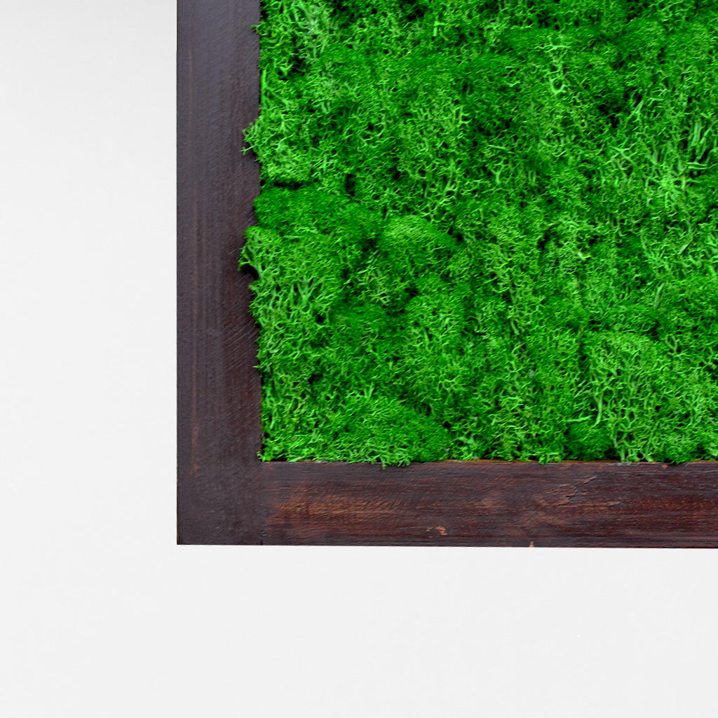 Dark Green Preserved Moss Frame with Dark Wood - myBageecha
