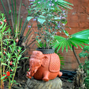 Terracotta Elephant Planter Garden Essentials myBageecha - myBageecha