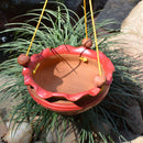 Terracotta Bowl Planter