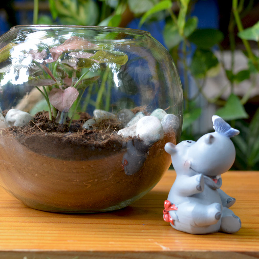 Miniature Hippo Playing with Butterfly Decor - myBageecha