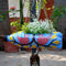 Hand-Painted Bird Theme Horizontal Pot Garden Essentials myBageecha - myBageecha