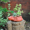 Terracotta Kangaroo Planter Garden Essentials myBageecha - myBageecha