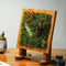 Moment of Stillness Tabletop Preserved Moss Frame with Stand