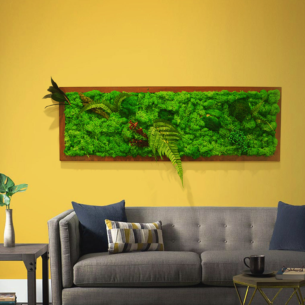 A Mystical Forest Preserved Moss Frame with Dark Wood - myBageecha