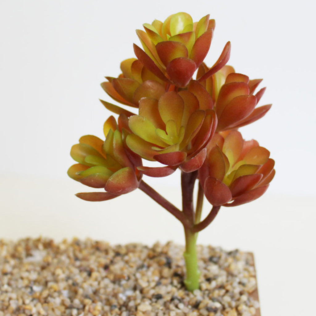 Artificial Branched Aeonium Succulent Imitation Plant - myBageecha