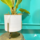 Pearl White Metal Pot with Stand