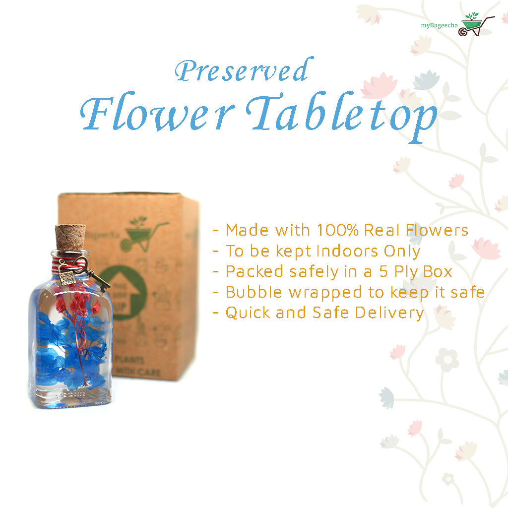 Prismatic Hues Preserved Flower Tabletop - myBageecha