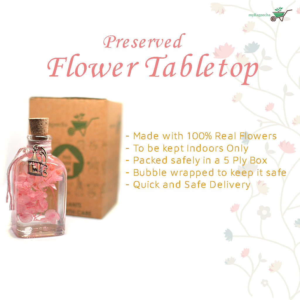 Punky Pinks Preserved Flower Tabletop - myBageecha