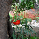 Set of 2 : Hanging Red Pot Garden Essentials myBageecha - myBageecha