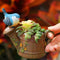 Watering Can With Bird Resin Succulent Pot