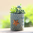 Ocean of Love Starfish Resin Succulent Pot
