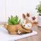 Cute Deer Sleeping Resin Succulent Pot