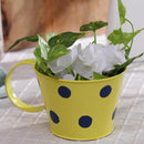 Small Polka Cup Planter Garden Essentials myBageecha - myBageecha