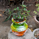 Terracotta Small Colourful Pot Garden Essentials myBageecha - myBageecha