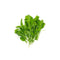 Spinach Microgreen Seeds