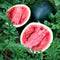 Watermelon(Sugar Baby ) / Tarabooj Seeds myBageecha - myBageecha