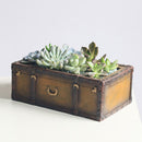 Vintage Trunk Resin Succulent Pot