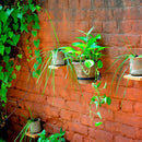 Wall Mounted Flower Pot Holder Garden Essentials myBageecha - myBageecha