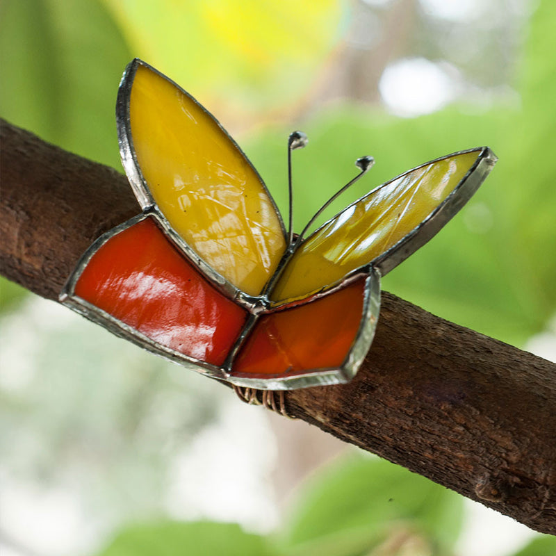 Wrap Around Glass Butterflies Decor myBageecha - myBageecha